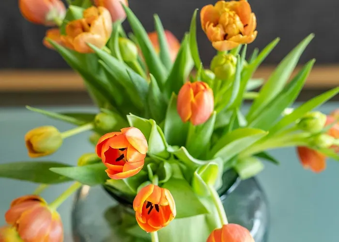 Haus Deichoase 1 4 Apartament